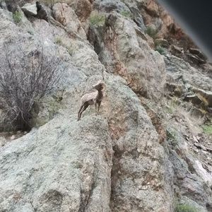 Meet your Posher, Gina